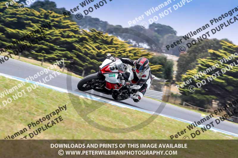 07th to 9th January 2019;Phillip Island;event digital images;motorbikes;no limits;peter wileman photography;trackday;trackday digital images