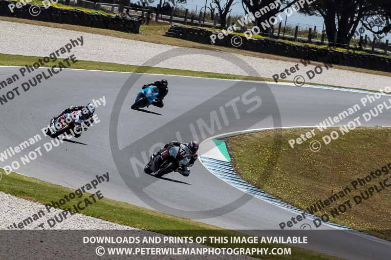 07th to 9th January 2019;Phillip Island;event digital images;motorbikes;no limits;peter wileman photography;trackday;trackday digital images