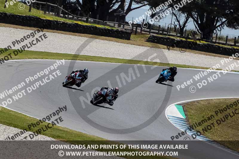 07th to 9th January 2019;Phillip Island;event digital images;motorbikes;no limits;peter wileman photography;trackday;trackday digital images