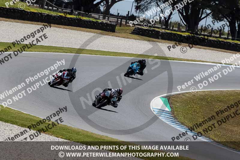 07th to 9th January 2019;Phillip Island;event digital images;motorbikes;no limits;peter wileman photography;trackday;trackday digital images