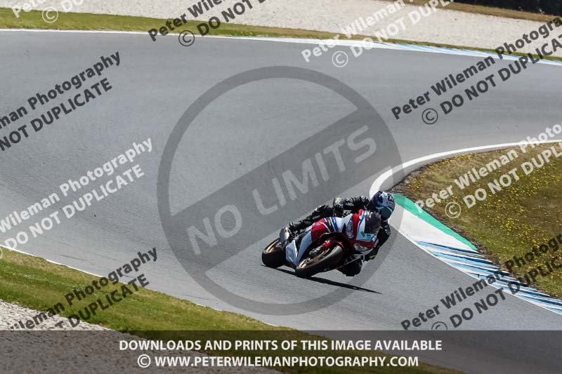 07th to 9th January 2019;Phillip Island;event digital images;motorbikes;no limits;peter wileman photography;trackday;trackday digital images