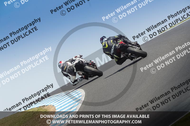 07th to 9th January 2019;Phillip Island;event digital images;motorbikes;no limits;peter wileman photography;trackday;trackday digital images