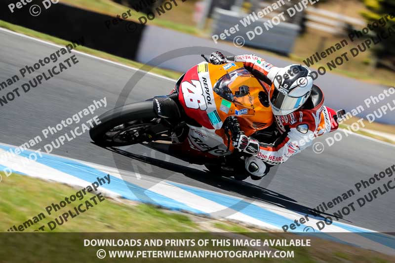 07th to 9th January 2019;Phillip Island;event digital images;motorbikes;no limits;peter wileman photography;trackday;trackday digital images