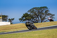 07th-to-9th-January-2019;Phillip-Island;event-digital-images;motorbikes;no-limits;peter-wileman-photography;trackday;trackday-digital-images