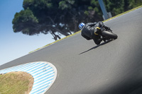 07th-to-9th-January-2019;Phillip-Island;event-digital-images;motorbikes;no-limits;peter-wileman-photography;trackday;trackday-digital-images