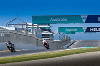 07th-to-9th-January-2019;Phillip-Island;event-digital-images;motorbikes;no-limits;peter-wileman-photography;trackday;trackday-digital-images