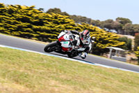 07th-to-9th-January-2019;Phillip-Island;event-digital-images;motorbikes;no-limits;peter-wileman-photography;trackday;trackday-digital-images