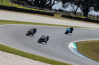 07th-to-9th-January-2019;Phillip-Island;event-digital-images;motorbikes;no-limits;peter-wileman-photography;trackday;trackday-digital-images