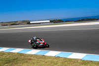 07th-to-9th-January-2019;Phillip-Island;event-digital-images;motorbikes;no-limits;peter-wileman-photography;trackday;trackday-digital-images