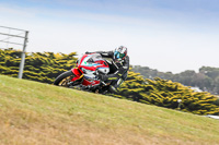 07th-to-9th-January-2019;Phillip-Island;event-digital-images;motorbikes;no-limits;peter-wileman-photography;trackday;trackday-digital-images