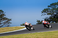 07th-to-9th-January-2019;Phillip-Island;event-digital-images;motorbikes;no-limits;peter-wileman-photography;trackday;trackday-digital-images