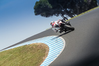 07th-to-9th-January-2019;Phillip-Island;event-digital-images;motorbikes;no-limits;peter-wileman-photography;trackday;trackday-digital-images