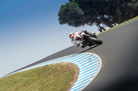 07th-to-9th-January-2019;Phillip-Island;event-digital-images;motorbikes;no-limits;peter-wileman-photography;trackday;trackday-digital-images