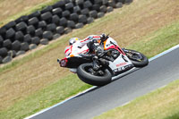 07th-to-9th-January-2019;Phillip-Island;event-digital-images;motorbikes;no-limits;peter-wileman-photography;trackday;trackday-digital-images