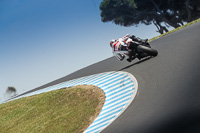 07th-to-9th-January-2019;Phillip-Island;event-digital-images;motorbikes;no-limits;peter-wileman-photography;trackday;trackday-digital-images