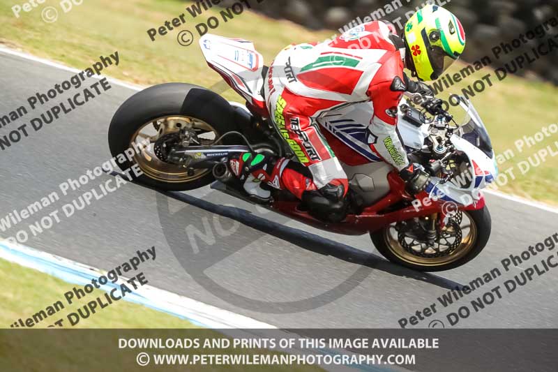 07th to 9th January 2019;Phillip Island;event digital images;motorbikes;no limits;peter wileman photography;trackday;trackday digital images