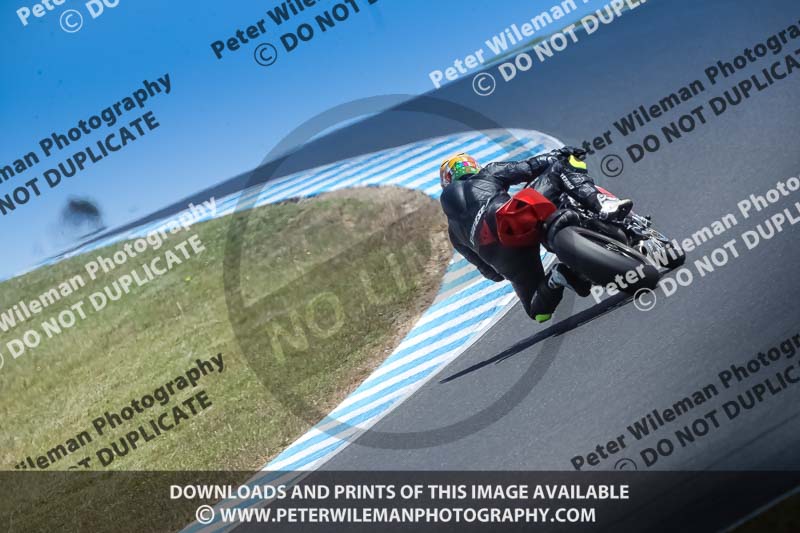 07th to 9th January 2019;Phillip Island;event digital images;motorbikes;no limits;peter wileman photography;trackday;trackday digital images