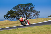 07th-to-9th-January-2019;Phillip-Island;event-digital-images;motorbikes;no-limits;peter-wileman-photography;trackday;trackday-digital-images