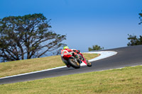 07th-to-9th-January-2019;Phillip-Island;event-digital-images;motorbikes;no-limits;peter-wileman-photography;trackday;trackday-digital-images