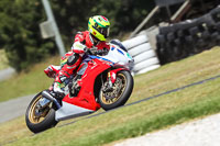 07th-to-9th-January-2019;Phillip-Island;event-digital-images;motorbikes;no-limits;peter-wileman-photography;trackday;trackday-digital-images