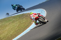 07th-to-9th-January-2019;Phillip-Island;event-digital-images;motorbikes;no-limits;peter-wileman-photography;trackday;trackday-digital-images