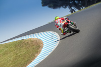 07th-to-9th-January-2019;Phillip-Island;event-digital-images;motorbikes;no-limits;peter-wileman-photography;trackday;trackday-digital-images