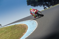 07th-to-9th-January-2019;Phillip-Island;event-digital-images;motorbikes;no-limits;peter-wileman-photography;trackday;trackday-digital-images