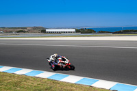 07th-to-9th-January-2019;Phillip-Island;event-digital-images;motorbikes;no-limits;peter-wileman-photography;trackday;trackday-digital-images