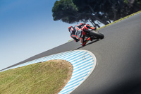 07th-to-9th-January-2019;Phillip-Island;event-digital-images;motorbikes;no-limits;peter-wileman-photography;trackday;trackday-digital-images