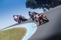 07th-to-9th-January-2019;Phillip-Island;event-digital-images;motorbikes;no-limits;peter-wileman-photography;trackday;trackday-digital-images