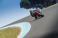 07th-to-9th-January-2019;Phillip-Island;event-digital-images;motorbikes;no-limits;peter-wileman-photography;trackday;trackday-digital-images