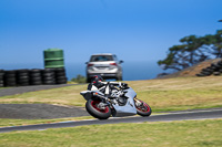 07th-to-9th-January-2019;Phillip-Island;event-digital-images;motorbikes;no-limits;peter-wileman-photography;trackday;trackday-digital-images