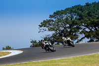 07th-to-9th-January-2019;Phillip-Island;event-digital-images;motorbikes;no-limits;peter-wileman-photography;trackday;trackday-digital-images