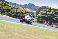 07th-to-9th-January-2019;Phillip-Island;event-digital-images;motorbikes;no-limits;peter-wileman-photography;trackday;trackday-digital-images