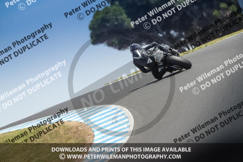 07th to 9th January 2019;Phillip Island;event digital images;motorbikes;no limits;peter wileman photography;trackday;trackday digital images