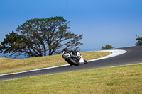 07th-to-9th-January-2019;Phillip-Island;event-digital-images;motorbikes;no-limits;peter-wileman-photography;trackday;trackday-digital-images