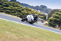 07th-to-9th-January-2019;Phillip-Island;event-digital-images;motorbikes;no-limits;peter-wileman-photography;trackday;trackday-digital-images