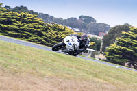 07th-to-9th-January-2019;Phillip-Island;event-digital-images;motorbikes;no-limits;peter-wileman-photography;trackday;trackday-digital-images