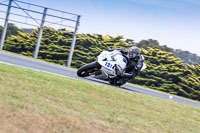 07th-to-9th-January-2019;Phillip-Island;event-digital-images;motorbikes;no-limits;peter-wileman-photography;trackday;trackday-digital-images