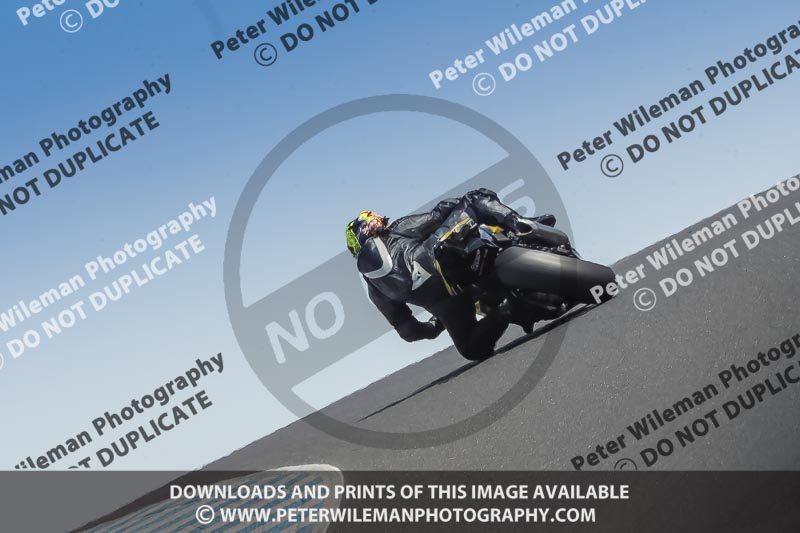 07th to 9th January 2019;Phillip Island;event digital images;motorbikes;no limits;peter wileman photography;trackday;trackday digital images