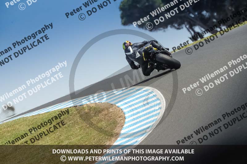 07th to 9th January 2019;Phillip Island;event digital images;motorbikes;no limits;peter wileman photography;trackday;trackday digital images