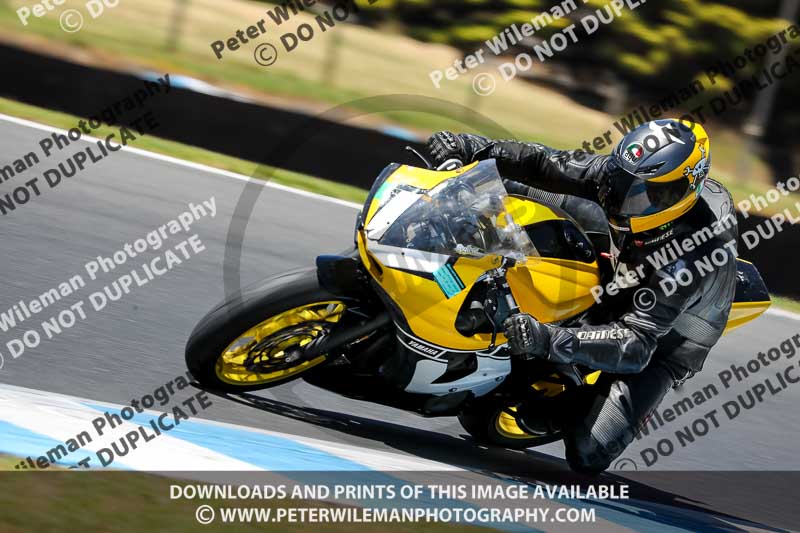 07th to 9th January 2019;Phillip Island;event digital images;motorbikes;no limits;peter wileman photography;trackday;trackday digital images