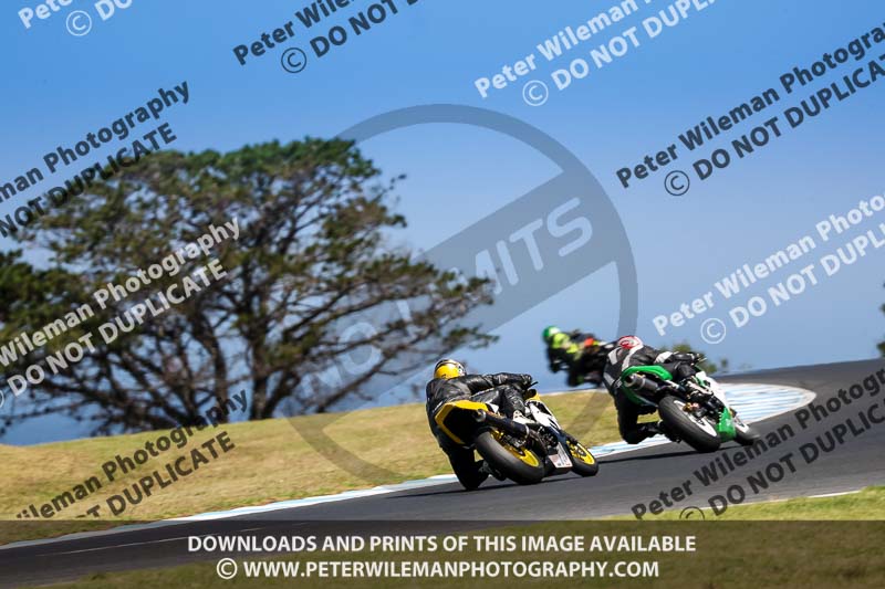 07th to 9th January 2019;Phillip Island;event digital images;motorbikes;no limits;peter wileman photography;trackday;trackday digital images