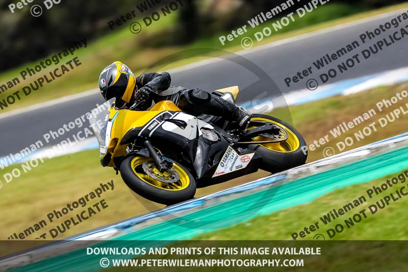 07th to 9th January 2019;Phillip Island;event digital images;motorbikes;no limits;peter wileman photography;trackday;trackday digital images