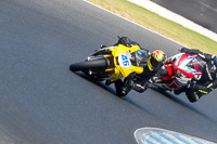 07th-to-9th-January-2019;Phillip-Island;event-digital-images;motorbikes;no-limits;peter-wileman-photography;trackday;trackday-digital-images