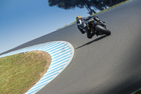 07th-to-9th-January-2019;Phillip-Island;event-digital-images;motorbikes;no-limits;peter-wileman-photography;trackday;trackday-digital-images