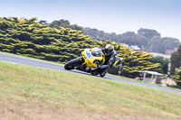 07th-to-9th-January-2019;Phillip-Island;event-digital-images;motorbikes;no-limits;peter-wileman-photography;trackday;trackday-digital-images