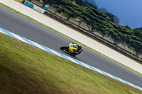 07th-to-9th-January-2019;Phillip-Island;event-digital-images;motorbikes;no-limits;peter-wileman-photography;trackday;trackday-digital-images