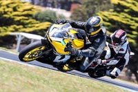 07th-to-9th-January-2019;Phillip-Island;event-digital-images;motorbikes;no-limits;peter-wileman-photography;trackday;trackday-digital-images