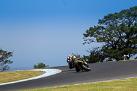 07th-to-9th-January-2019;Phillip-Island;event-digital-images;motorbikes;no-limits;peter-wileman-photography;trackday;trackday-digital-images